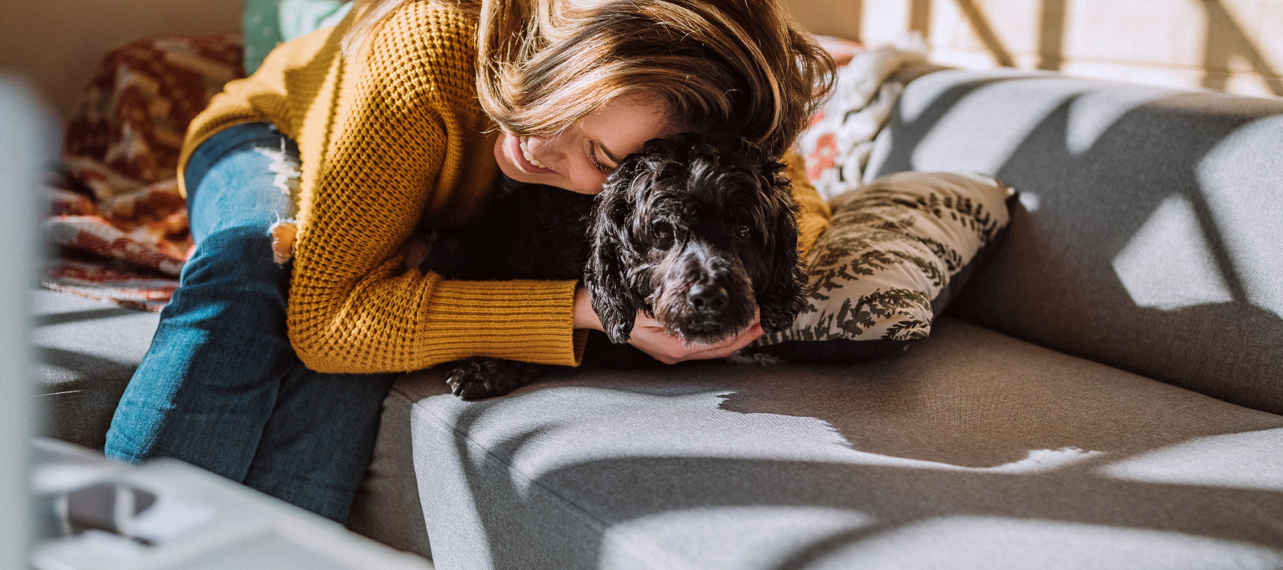 A dog being hugged by it's owner on a couch.